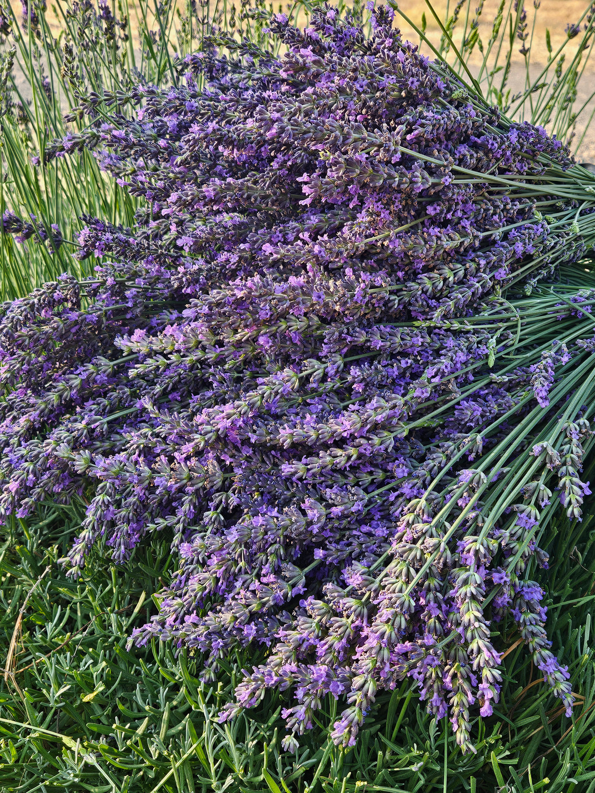 Know what brings the aroma home.